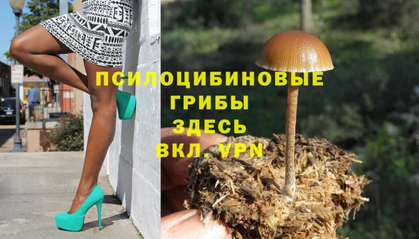 ПСИЛОЦИБИНОВЫЕ ГРИБЫ Алексин