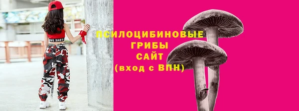 герыч Алзамай